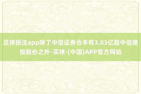 足球投注app除了中信证券合手有3.83亿股中信建投股份之外-买球·(中国)APP官方网站