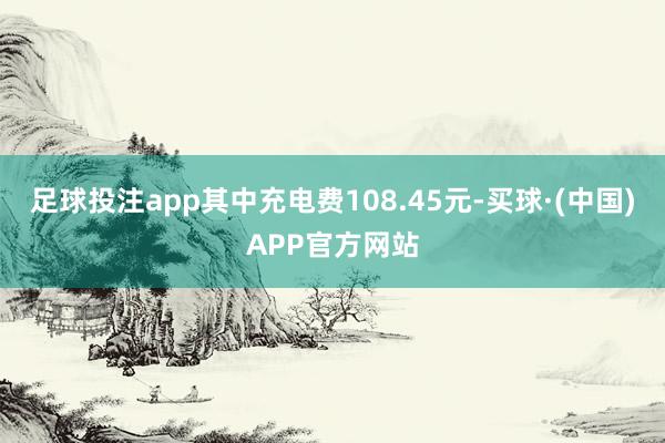 足球投注app其中充电费108.45元-买球·(中国)APP官方网站