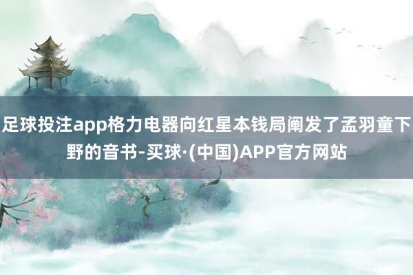 足球投注app格力电器向红星本钱局阐发了孟羽童下野的音书-买球·(中国)APP官方网站