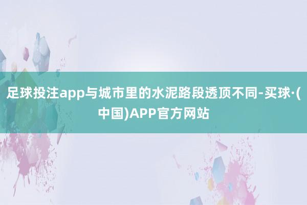 足球投注app与城市里的水泥路段透顶不同-买球·(中国)APP官方网站
