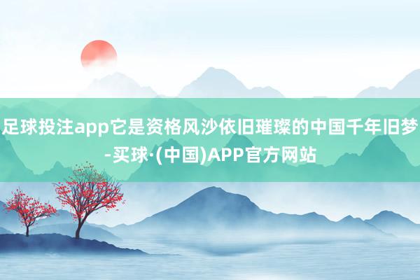 足球投注app它是资格风沙依旧璀璨的中国千年旧梦-买球·(中国)APP官方网站