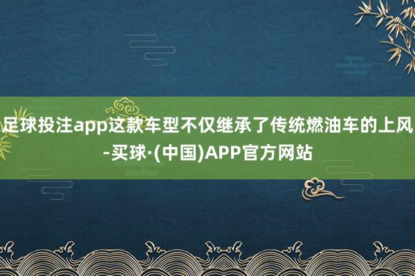 足球投注app这款车型不仅继承了传统燃油车的上风-买球·(中国)APP官方网站