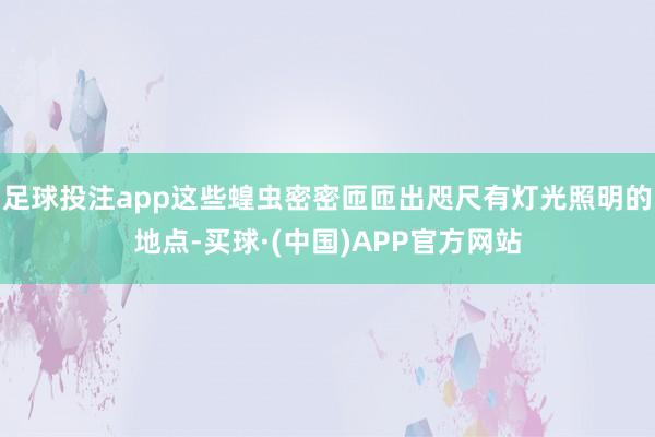 足球投注app这些蝗虫密密匝匝出咫尺有灯光照明的地点-买球·(中国)APP官方网站
