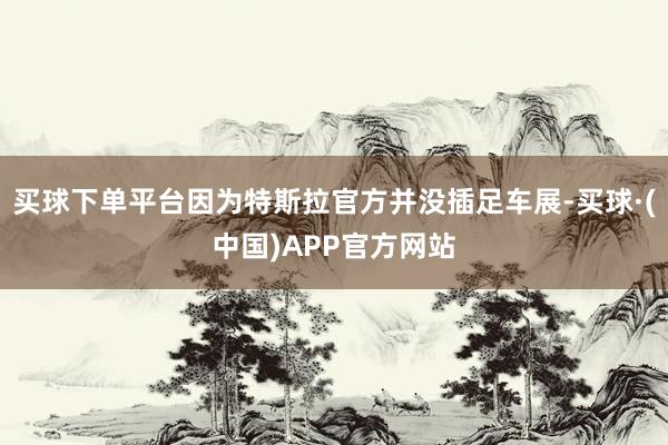 买球下单平台因为特斯拉官方并没插足车展-买球·(中国)APP官方网站