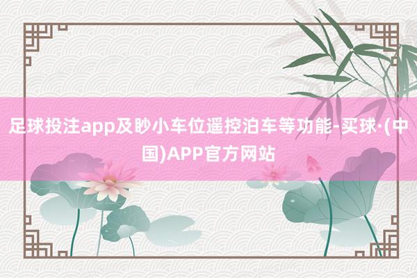 足球投注app及眇小车位遥控泊车等功能-买球·(中国)APP官方网站