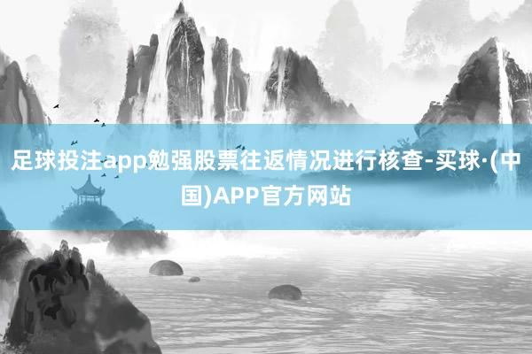 足球投注app勉强股票往返情况进行核查-买球·(中国)APP官方网站