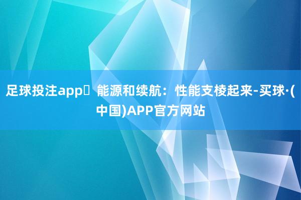 足球投注app⚡能源和续航：性能支棱起来-买球·(中国)APP官方网站