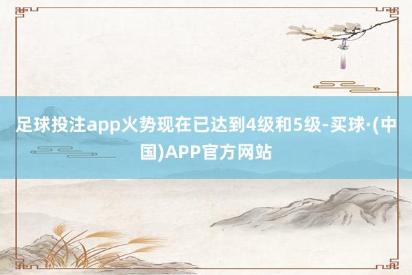 足球投注app火势现在已达到4级和5级-买球·(中国)APP官方网站