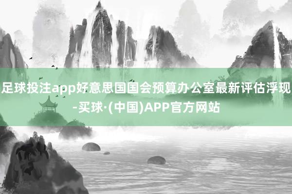 足球投注app好意思国国会预算办公室最新评估浮现-买球·(中国)APP官方网站
