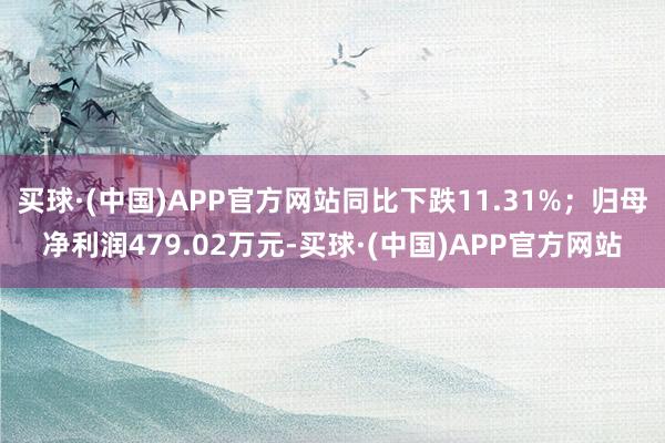 买球·(中国)APP官方网站同比下跌11.31%；归母净利润479.02万元-买球·(中国)APP官方网站