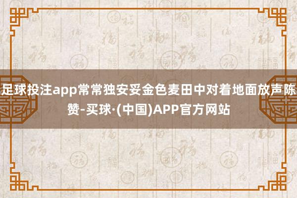足球投注app常常独安妥金色麦田中对着地面放声陈赞-买球·(中国)APP官方网站