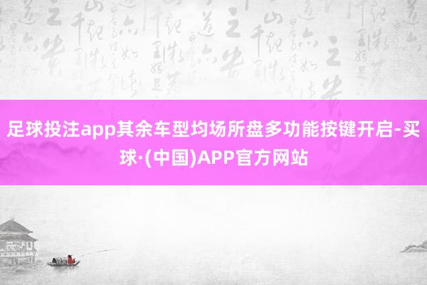 足球投注app其余车型均场所盘多功能按键开启-买球·(中国)APP官方网站