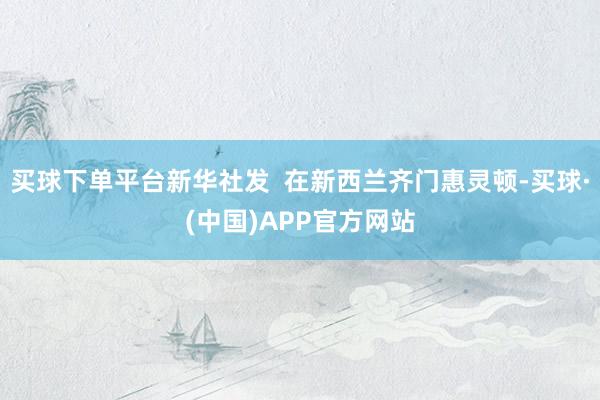 买球下单平台新华社发  在新西兰齐门惠灵顿-买球·(中国)APP官方网站