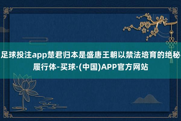 足球投注app楚君归本是盛唐王朝以禁法培育的绝秘履行体-买球·(中国)APP官方网站