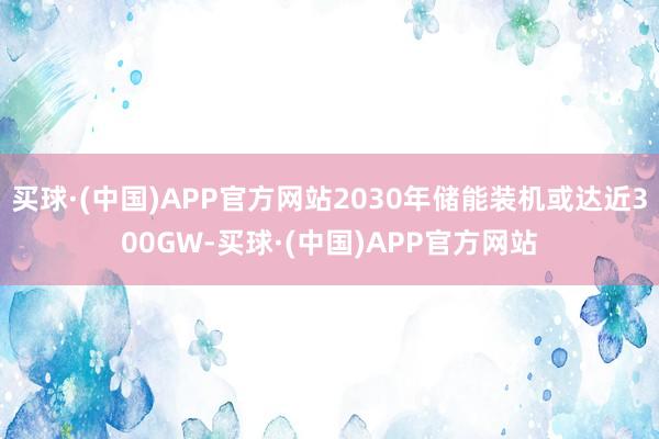 买球·(中国)APP官方网站2030年储能装机或达近300GW-买球·(中国)APP官方网站