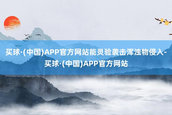 买球·(中国)APP官方网站能灵验袭击浑浊物侵入-买球·(中国)APP官方网站