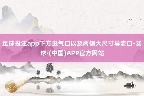足球投注app下方进气口以及两侧大尺寸导流口-买球·(中国)APP官方网站