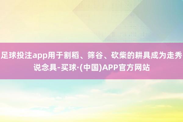 足球投注app用于割稻、筛谷、砍柴的耕具成为走秀说念具-买球·(中国)APP官方网站