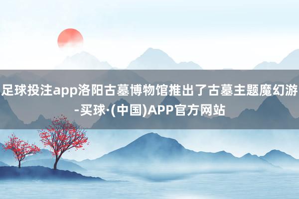 足球投注app洛阳古墓博物馆推出了古墓主题魔幻游-买球·(中国)APP官方网站