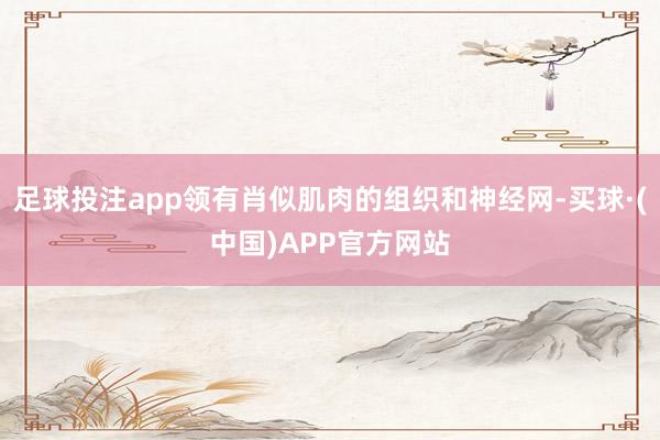 足球投注app领有肖似肌肉的组织和神经网-买球·(中国)APP官方网站