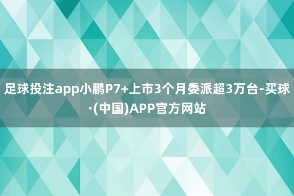 足球投注app小鹏P7+上市3个月委派超3万台-买球·(中国)APP官方网站