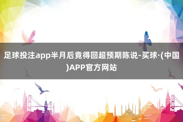 足球投注app半月后竟得回超预期陈说-买球·(中国)APP官方网站