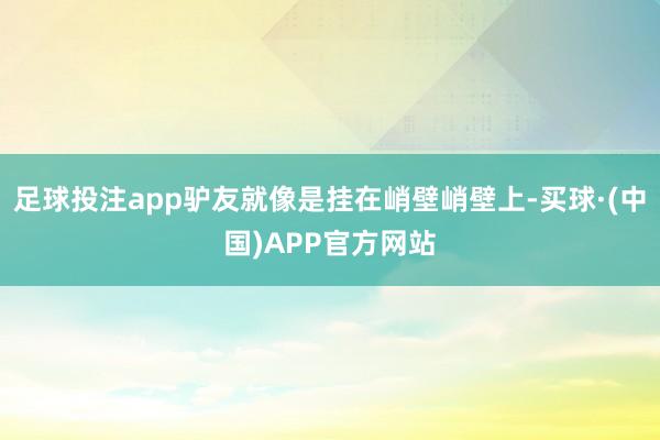 足球投注app驴友就像是挂在峭壁峭壁上-买球·(中国)APP官方网站