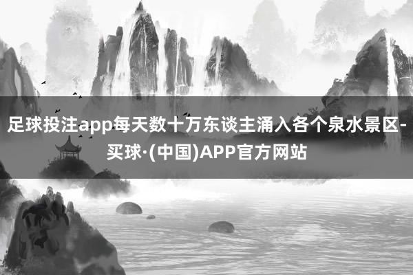 足球投注app每天数十万东谈主涌入各个泉水景区-买球·(中国)APP官方网站