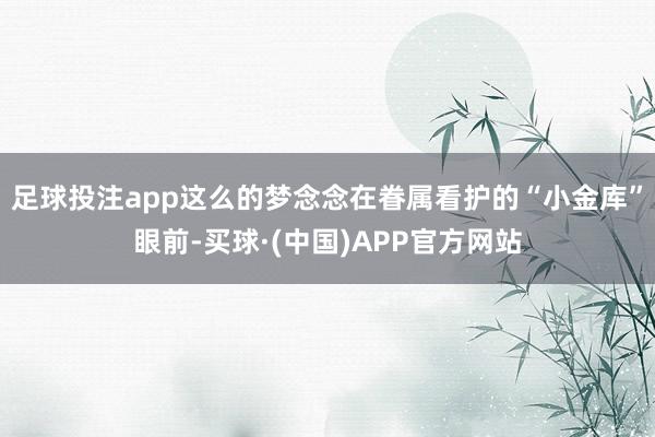 足球投注app这么的梦念念在眷属看护的“小金库”眼前-买球·(中国)APP官方网站