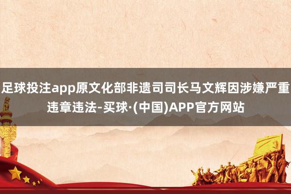 足球投注app原文化部非遗司司长马文辉因涉嫌严重违章违法-买球·(中国)APP官方网站