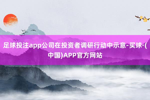 足球投注app公司在投资者调研行动中示意-买球·(中国)APP官方网站