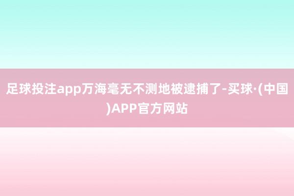 足球投注app万海毫无不测地被逮捕了-买球·(中国)APP官方网站