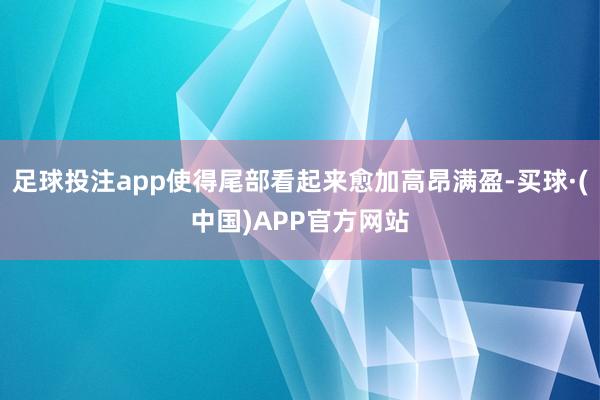 足球投注app使得尾部看起来愈加高昂满盈-买球·(中国)APP官方网站