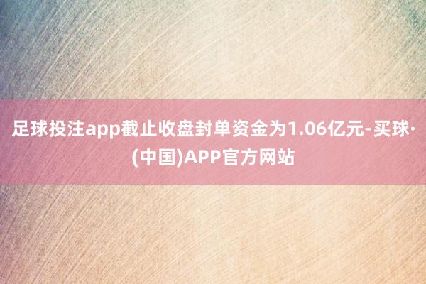 足球投注app截止收盘封单资金为1.06亿元-买球·(中国)APP官方网站
