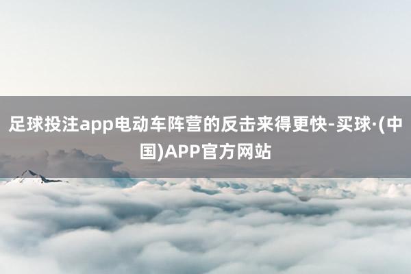 足球投注app电动车阵营的反击来得更快-买球·(中国)APP官方网站
