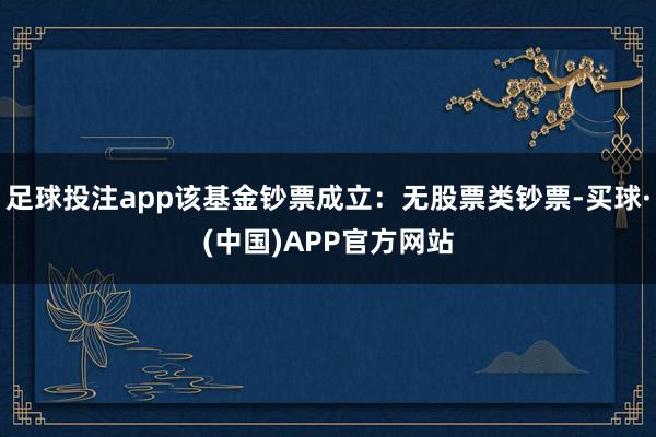 足球投注app该基金钞票成立:无股票类钞票-买球·(中国)APP官方网站