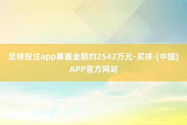 足球投注app筹画金额约2542万元-买球·(中国)APP官方网站