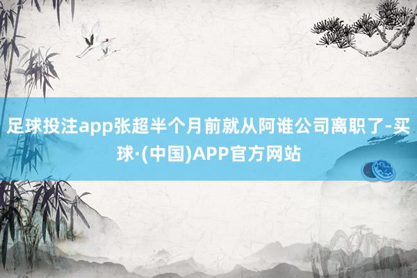 足球投注app张超半个月前就从阿谁公司离职了-买球·(中国)APP官方网站