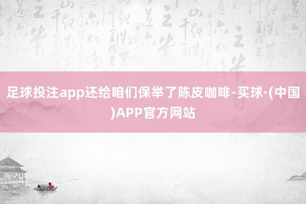 足球投注app还给咱们保举了陈皮咖啡-买球·(中国)APP官方网站