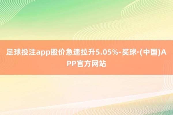 足球投注app股价急速拉升5.05%-买球·(中国)APP官方网站