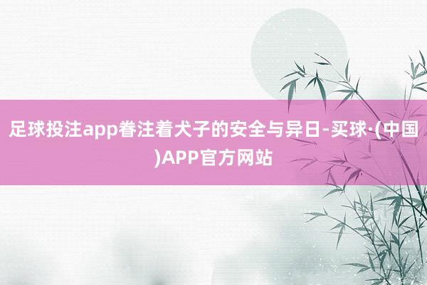 足球投注app眷注着犬子的安全与异日-买球·(中国)APP官方网站