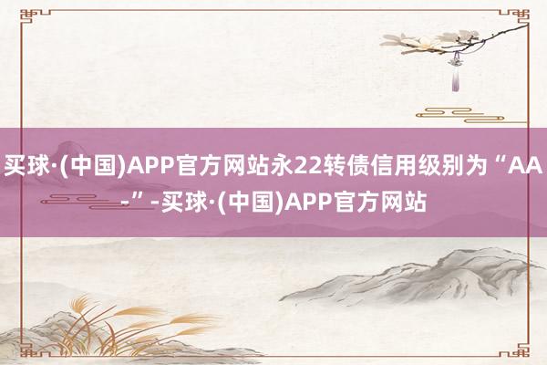 买球·(中国)APP官方网站永22转债信用级别为“AA-”-买球·(中国)APP官方网站