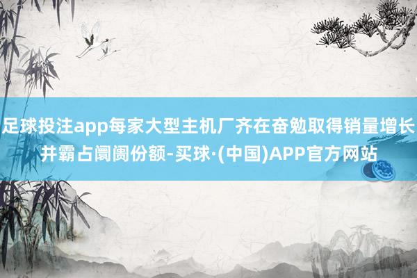 足球投注app每家大型主机厂齐在奋勉取得销量增长并霸占阛阓份额-买球·(中国)APP官方网站