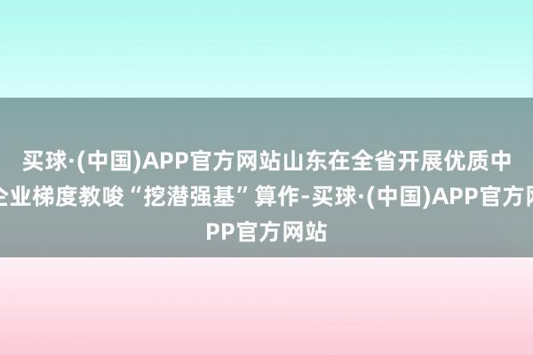买球·(中国)APP官方网站山东在全省开展优质中小企业梯度教唆“挖潜强基”算作-买球·(中国)APP官方网站