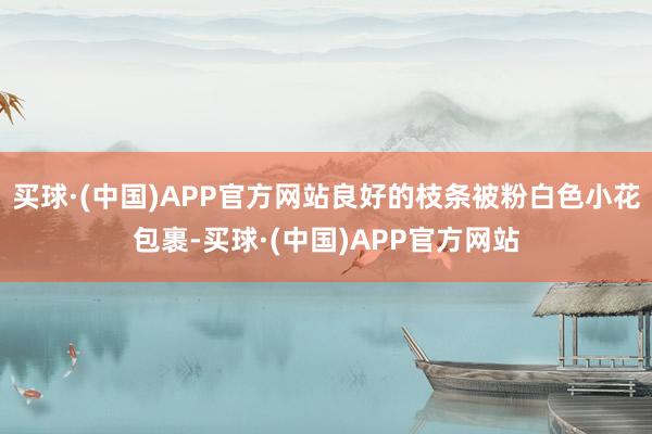 买球·(中国)APP官方网站良好的枝条被粉白色小花包裹-买球·(中国)APP官方网站
