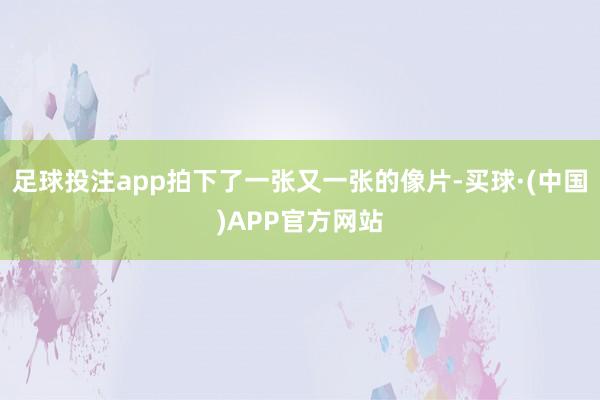 足球投注app拍下了一张又一张的像片-买球·(中国)APP官方网站