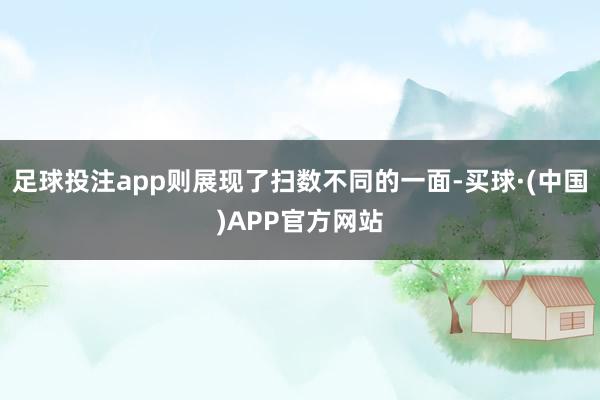 足球投注app则展现了扫数不同的一面-买球·(中国)APP官方网站