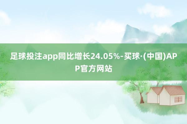 足球投注app同比增长24.05%-买球·(中国)APP官方网站