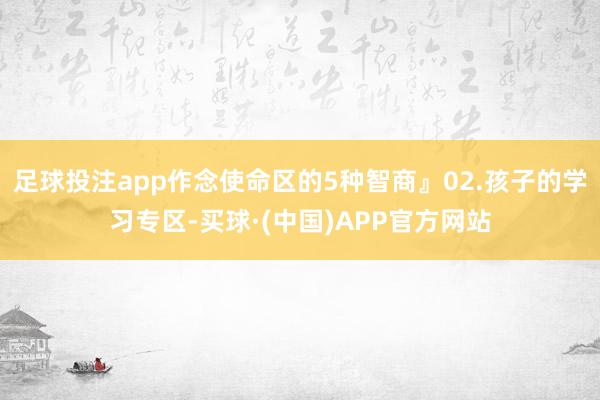 足球投注app作念使命区的5种智商』02.孩子的学习专区-买球·(中国)APP官方网站