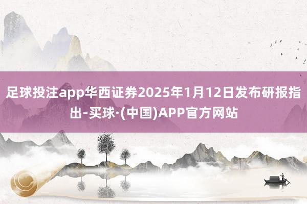 足球投注app华西证券2025年1月12日发布研报指出-买球·(中国)APP官方网站